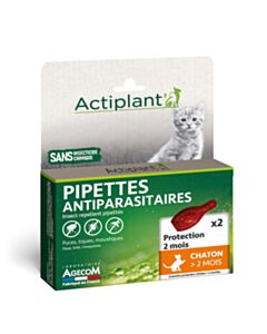 Actiplant kitten +2 maanden - 2 pipetten